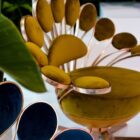 Designerski fotel Pavone Visionnaire