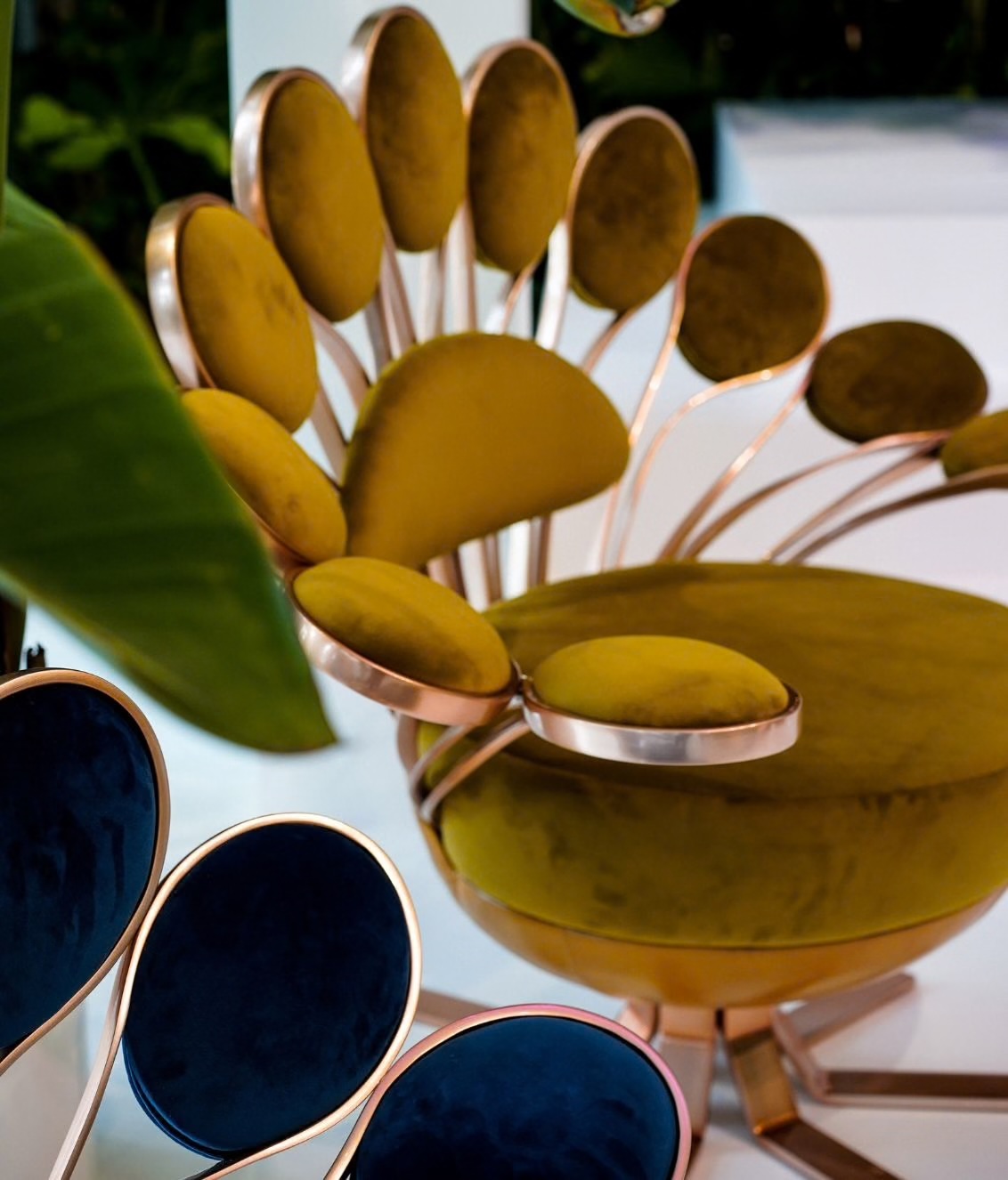 Designerski fotel Pavone Visionnaire